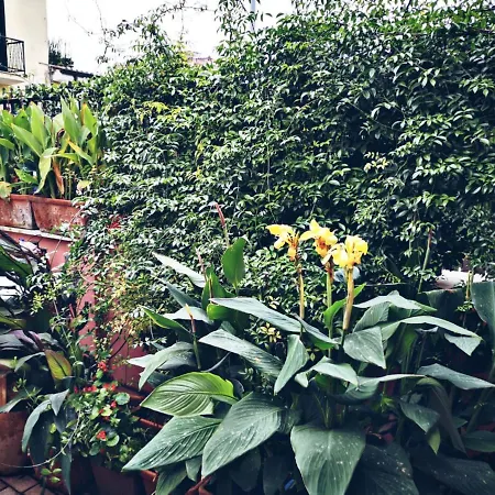 Holiday home Casa Lola Con Giardino *